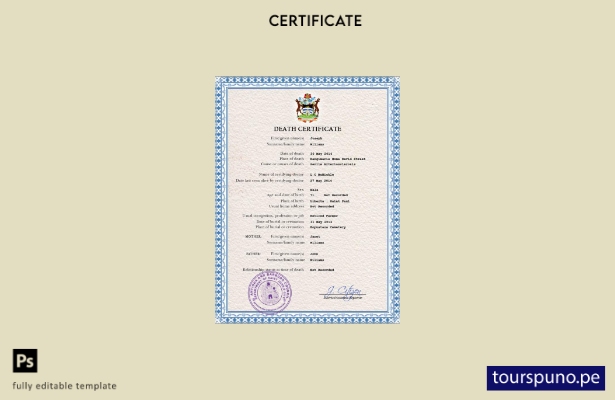 listo para imprimir plantilla PSD de certificado de defunción de registro civil 